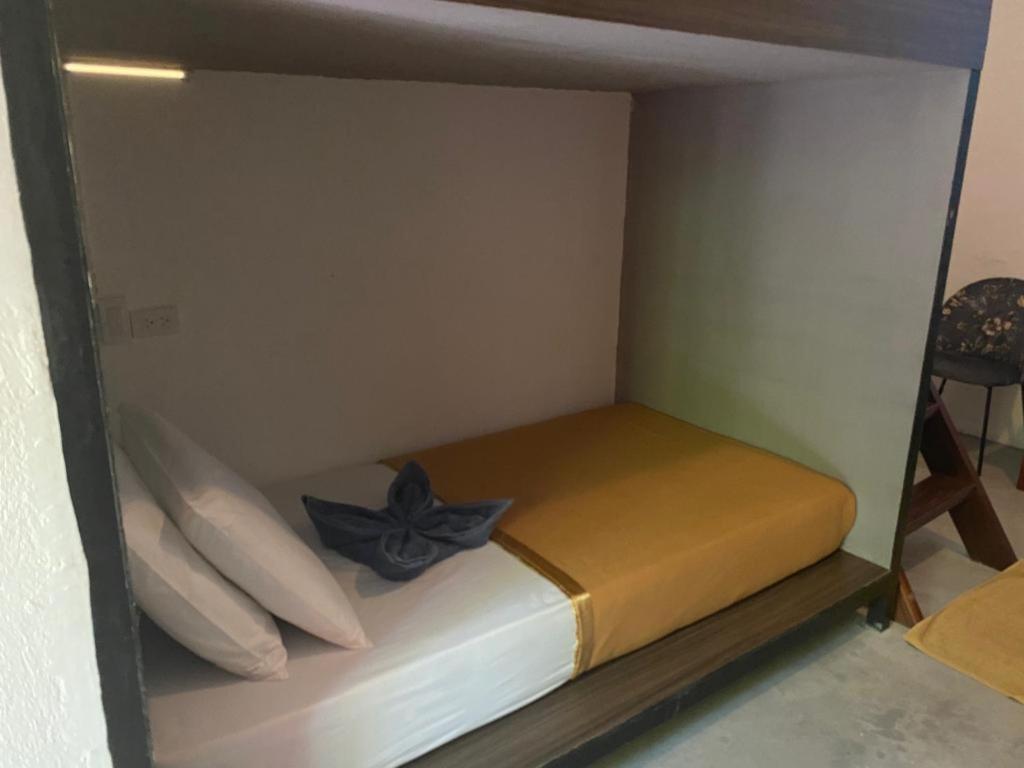 Lexias Hostel And Workspace - Siargao Catangnan エクステリア 写真